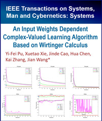 由输入权值决定的复值学习算法